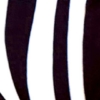 Listra Zebra